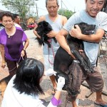 林韋地／防疫與動物保護無法雙贏？